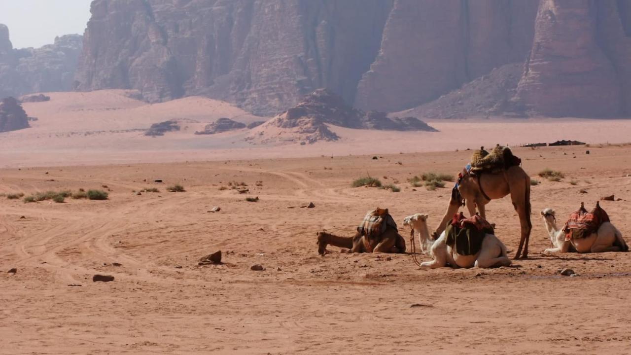 Bedouin memories camp Hotel Wadi Rum Exterior foto